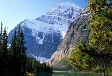 九游娱乐官方-包含武汉卓尔卫冕冠军，夺得中超榜首位置的词条