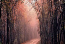 九游VIP-震惊！德布劳内空降西甲凯尔特人，官方名单引爆足坛！曼城核心开启伊比利亚奇幻漂流？