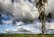 九游游戏-伯纳乌奇迹夜！技术解剖皇马逆转基因：3大数据引爆足球宇宙