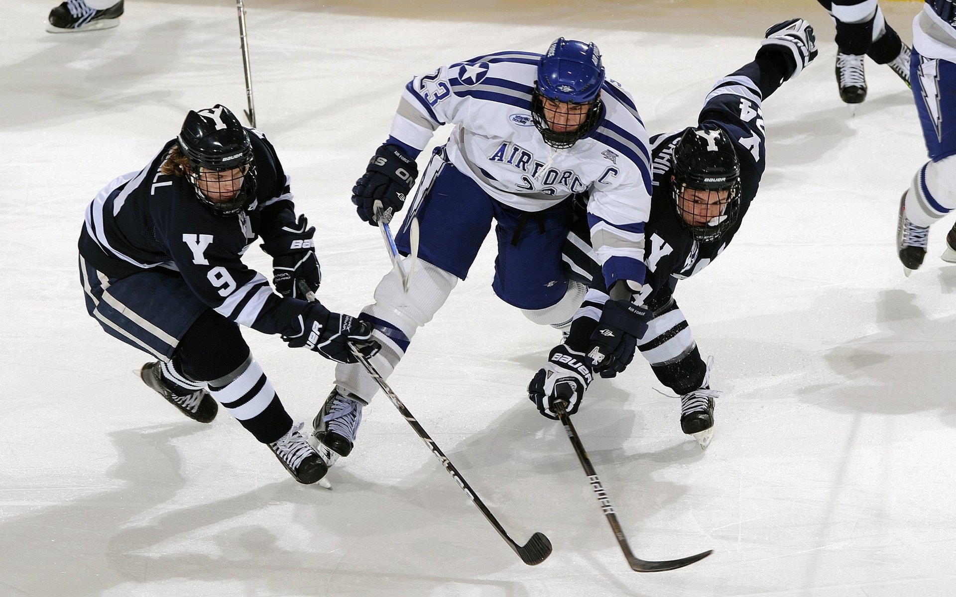 当张继科的惊艳遇上波兰的横扫—体育世界里的不可能与不设限