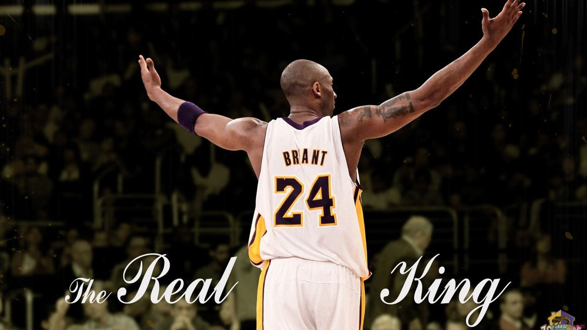 马赛铁蹄下的橙色悲歌，范戴克惊艳四座，却难阻荷兰被碾压之殇